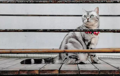 想要做好線上互動，這幾招教你掌握核心邏輯