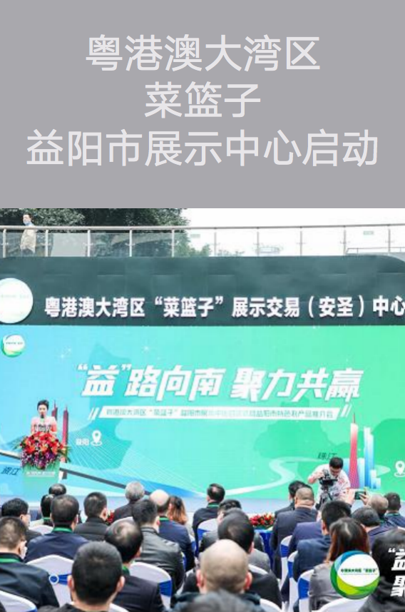活動(dòng)策劃執(zhí)行－粵港澳大灣區(qū)菜籃子益陽市展示中心啟動(dòng)