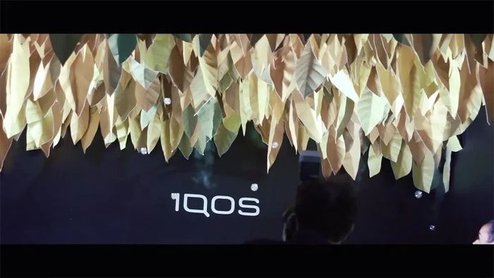 別樣精彩！廣州活動(dòng)策劃公司夏日奇妙嘉年華活動(dòng)全面揭幕